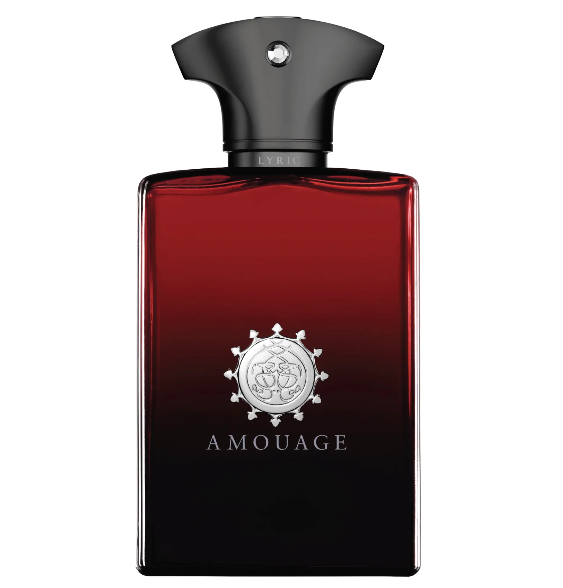 Amouage Lyric Man 100ML EDP Spray (M)