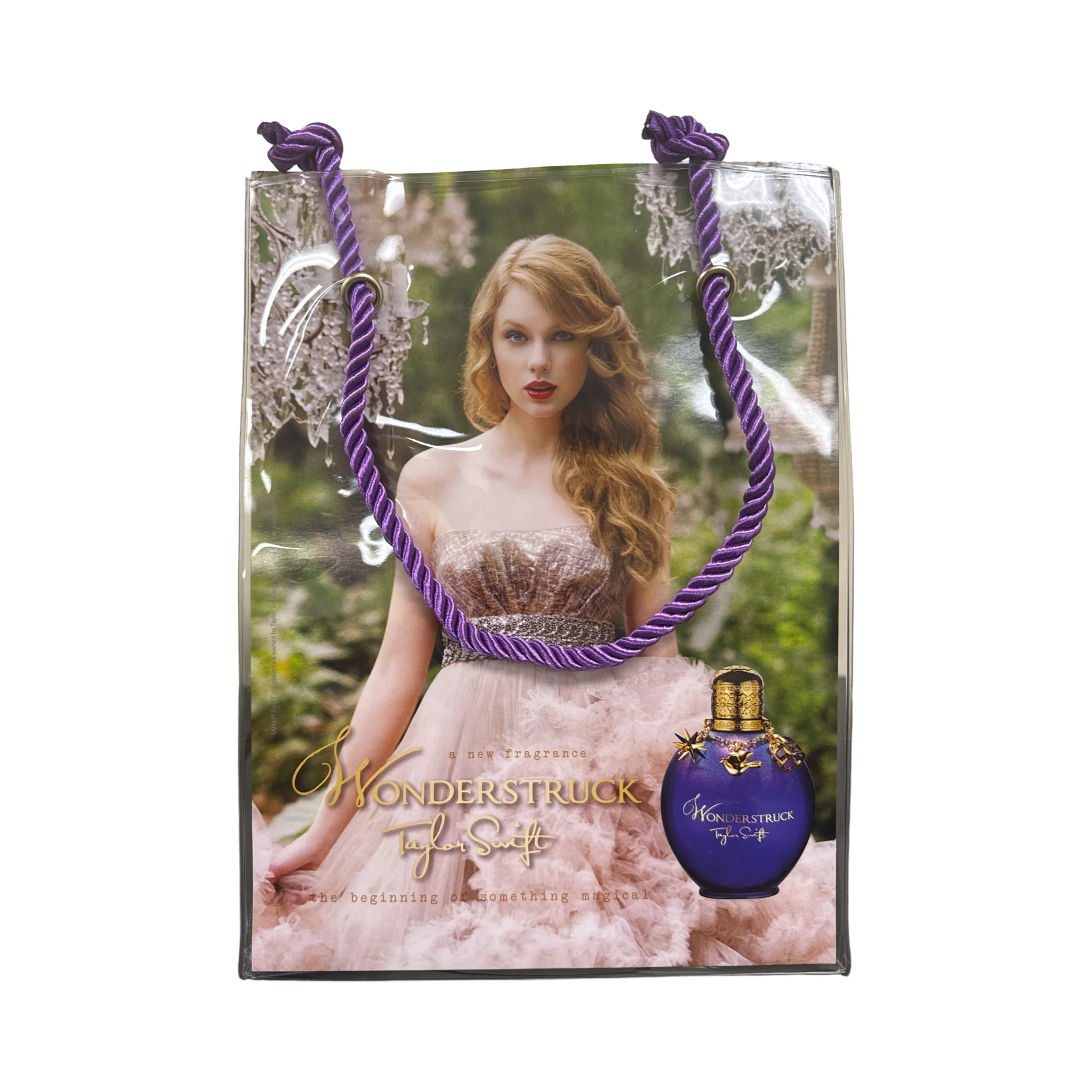 Taylor Swift Wonderstruck Clear Collector's Gift Bag (W)